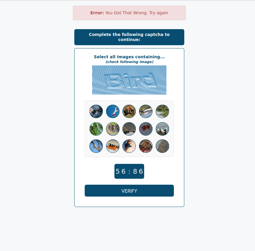 CAPTCHA Verification